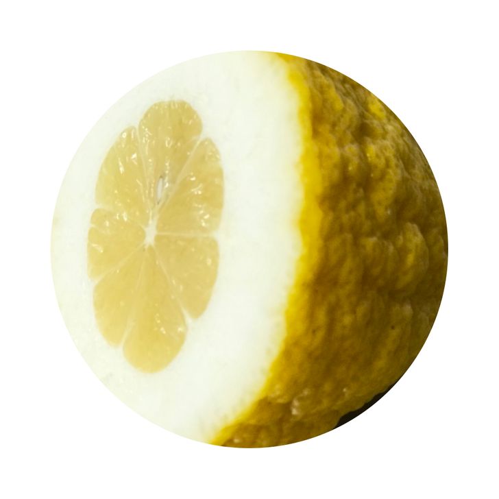 Sorbet Citron Fève de Tonka à emporter ( 500 ML)