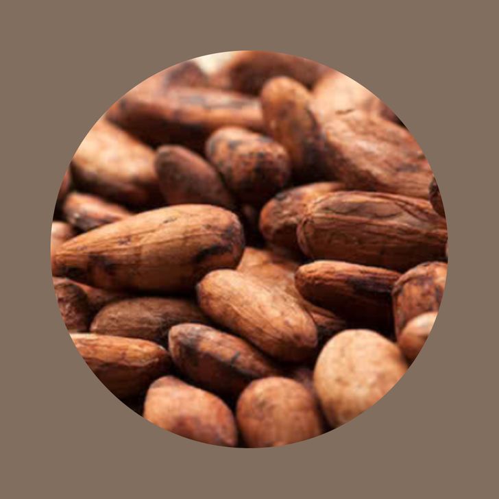 Sorbet Chocolat du Mexique 66 % à emporter ( 500 ML)
